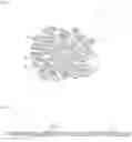 Fig. 03 - HAIR BUNDLE