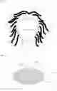 Fig. 06 - HAIR BUNDLE