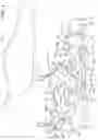 Fig. 02 - Article of Footwear