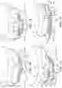 Fig. 12 - Article of Footwear