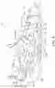 Fig. 13 - Article of Footwear