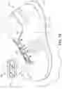 Fig. 15 - Article of footwear with dynamic support