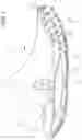 Fig. 02 - Sole structure for article of footwear