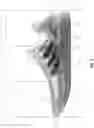 Fig. 03 - Footwear midsole with anisotropic mesh and methods of making the same