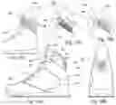 Fig. 09 - Human locomotion assisting shoe