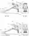 Fig. 16 - Human locomotion assisting shoe