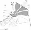 Fig. 20 - Human locomotion assisting shoe