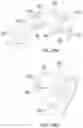 Fig. 26 - Chair