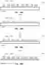 Fig. 07 - BODY SUPPORT STRUCTURES