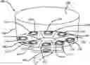 Fig. 01 - Serving Tray