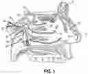 Fig. 02 - ENT INSTRUMENT WITH DEFORMABLE GUIDE HAVING TRANSLATABLE IMAGING FEATURE