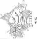 Fig. 43 - ENT INSTRUMENT WITH DEFORMABLE GUIDE HAVING TRANSLATABLE IMAGING FEATURE