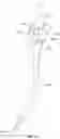 Fig. 18 - Laryngoscope and intubation methods
