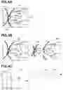 Fig. 05 - IMAGE PROCESSING APPARATUS, IMAGE PROCESSING METHOD, AND STORAGE MEDIUM