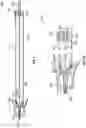 Fig. 11 - Intravenous Catheter Device Having a Probe Assembly With an Integrated Fluid Flushing Mechanism