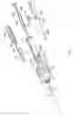 Fig. 04 - GUIDING SHEATH WITH DISTAL TIP LOCATOR