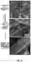 Fig. 05 - Auto-powered synthetic skin