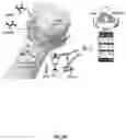 Fig. 22 - Auto-powered synthetic skin