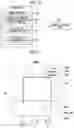Fig. 09 - X-ray imaging system and x-ray imaging apparatus