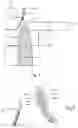 Fig. 02 - METHOD OF DETECTING AN ABNORMALITY ALONG A PORTION OF A DENTAL ARCH