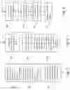 Fig. 07 - Method for scanning material using an ultrasonic imaging probe