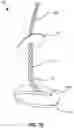 Fig. 19 - VESSEL CLOSURE DEVICE WITH IMPROVED SAFETY AND TRACT HEMOSTASIS