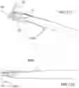 Fig. 31 - Devices and Methods for Advancing Knots