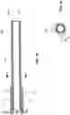 Fig. 04 - Thrombus Aspiration Systems and Related Methods