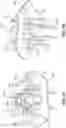 Fig. 06 - INTRAOSSEOUS ACCESS DEVICE AND LOCATOR ASSEMBLY