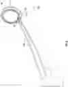 Fig. 07 - FORCEPS