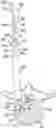 Fig. 01 - Apparatus and methods for disrupting inter vertebral disc tissue