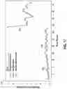 Fig. 12 - STRUCTURED TISSUE CONTACT SURFACE FOR ENERGY-BASED SURGICAL INSTRUMENT
