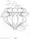 Fig. 05 - ATRIAL SEPTOSTOMY DEVICE