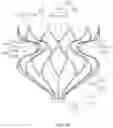 Fig. 21 - ATRIAL SEPTOSTOMY DEVICE