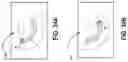 Fig. 62 - METHODS FOR IMPROVING ROBOTIC SURGICAL SYSTEMS AND DEVICES THEREOF
