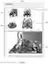 Fig. 10 - PROCEDURE VISUALIZATION AND GUIDANCE