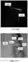 Fig. 51 - APPARATUS AND METHODS FOR USE WITH IMAGE-GUIDED SKELETAL PROCEDURES