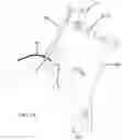 Fig. 04 - Surgical Instrument Holder