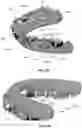 Fig. 18 - MODULAR FABRICATION OF DENTAL APPARATUSES