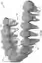 Fig. 09 - Combining data from multiple dental anatomy scans