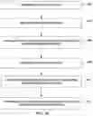 Fig. 20 - Combining data from multiple dental anatomy scans