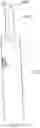 Fig. 01 - ORAL IRRIGATOR