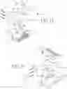 Fig. 12 - Spinal Prothesis