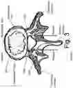 Fig. 04 - DEVICES AND METHODS FOR SPINAL IMPLANTATION