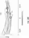 Fig. 23 - Systems and Methods for Determining Compression Depth and Providing Feedback During Active Compression Decompressions