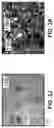 Fig. 06 - Pulp regeneration compositions and methods of forming and using the same
