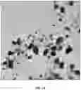 Fig. 02 - ORAL CARE NANOPARTICLE COMPOSITIONS AND METHODS