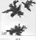 Fig. 03 - ORAL CARE NANOPARTICLE COMPOSITIONS AND METHODS