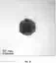 Fig. 04 - ORAL CARE NANOPARTICLE COMPOSITIONS AND METHODS