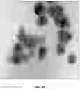 Fig. 05 - ORAL CARE NANOPARTICLE COMPOSITIONS AND METHODS